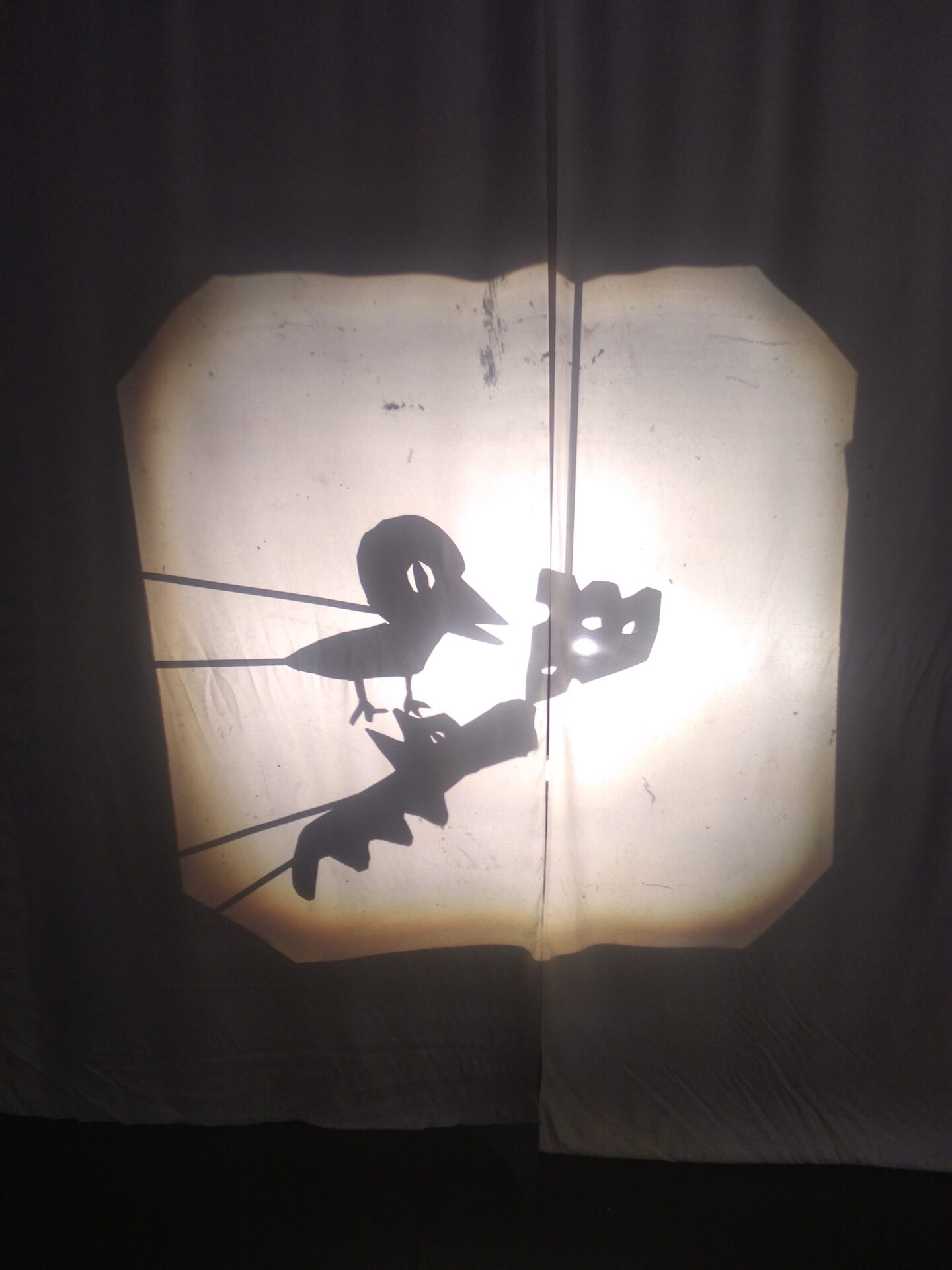 Ateliers d’ombres chinoises